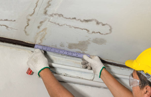 Reliable Structural Drying contractor in Bellingham, WA by Water Damage Irwin